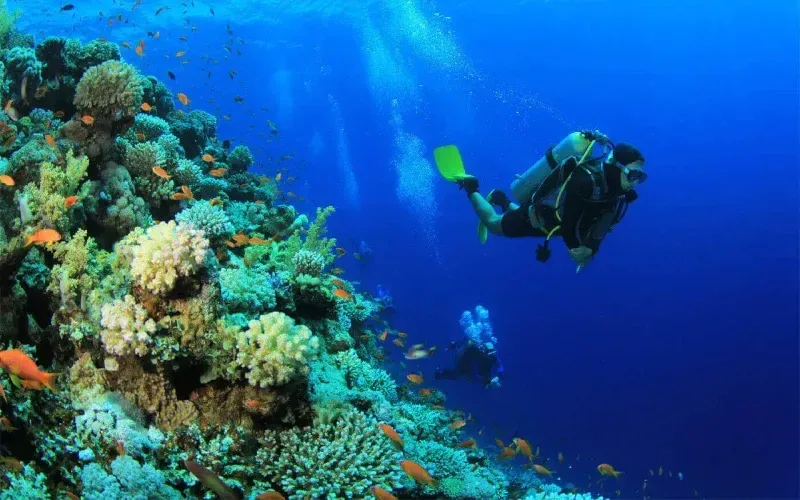 Snorkeling at Giftun Island — Hurghada